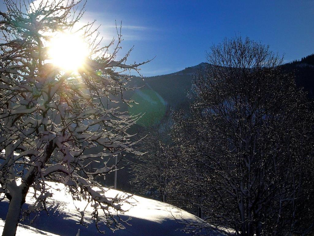 Mh Appartement Hochwimmer Saalbach-Hinterglemm Zewnętrze zdjęcie